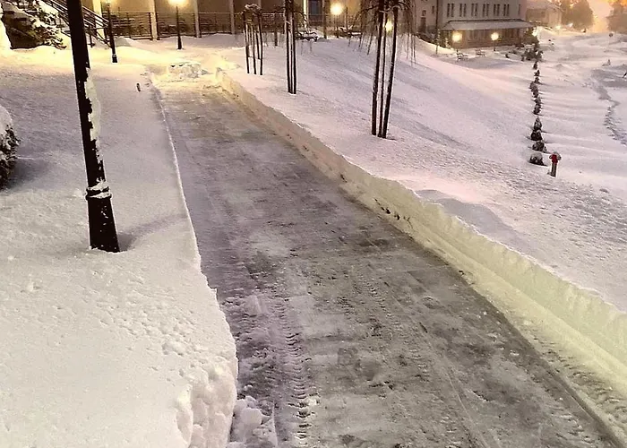 Vitadea Milmari Daire Kopaonik